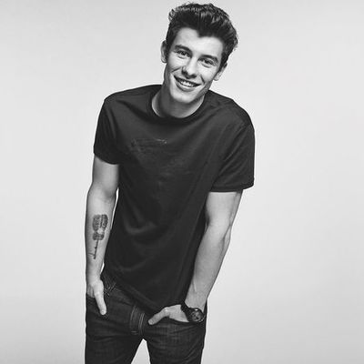Timeline: Shawn Mendes