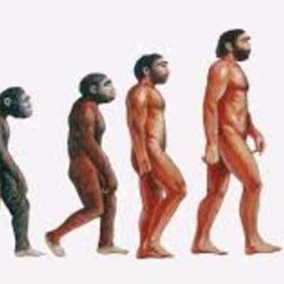 Timeline: Evolución de los homínidos