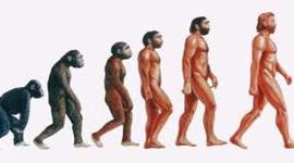 Timeline: Evolución de los homínidos