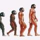 Evolucion