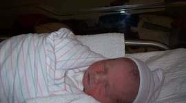 Timeline: Gray Parkins