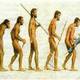 Evolution of modern man