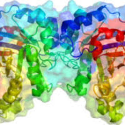 Timeline: Enzimas y su relevancia en la industria
