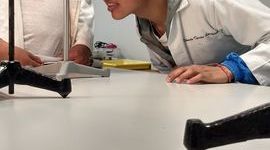 Timeline: Linea de vida