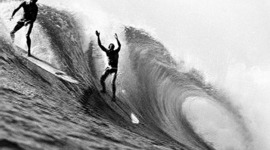 Timeline: Surf City Sydney