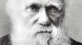 Timeline: Darwin