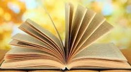 Timeline: El meu futur