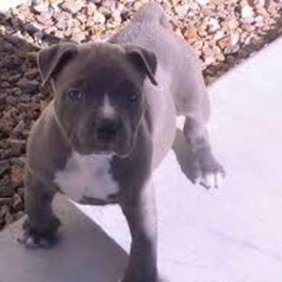 Timeline: Evolution des styles