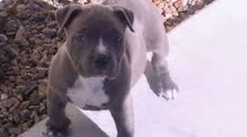 Timeline: Evolution des styles