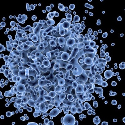 Timeline: La generación espontánea y la biogénesis