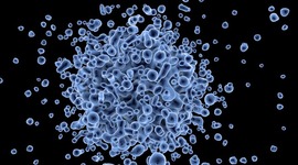 Timeline: La generación espontánea y la biogénesis