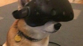 Timeline: Isaac whitliock