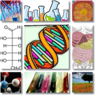 Timeline: Linea del tiempo Enzimología