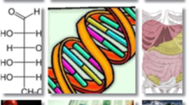 Timeline: Linea del tiempo Enzimología