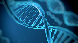 Timeline: Biologi - genetik och evolution