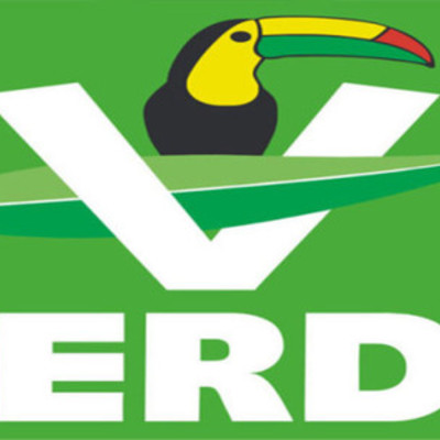 Timeline: Partido Verde