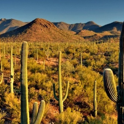 Timeline: Saguaro National Park Timeline