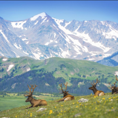 Timeline: Rocky Mountain National Park