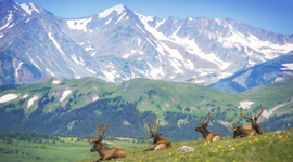 Timeline: Rocky Mountain National Park