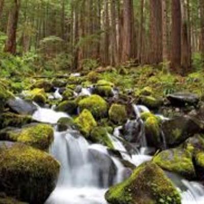 Timeline: Olympic National Park Timeline