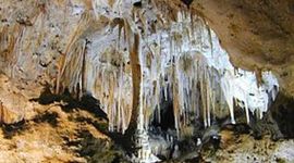 Timeline: Carlsbad Caverns