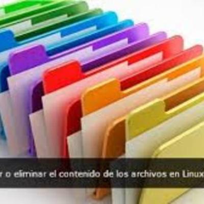 Timeline: Historia del archivo