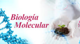 Timeline: HISTORIA DE LA BIOLOGIA MOLECULAR