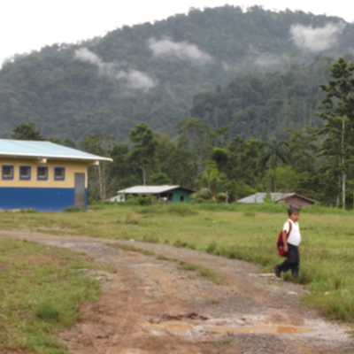 Timeline: Mi Escuela Primaria