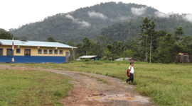 Timeline: Mi Escuela Primaria