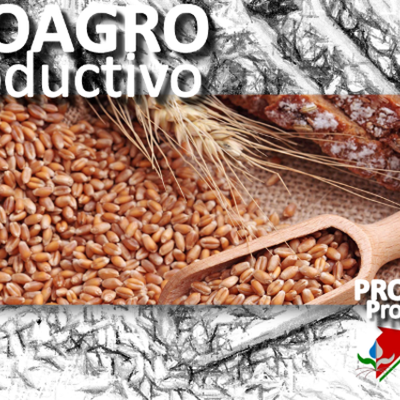 Timeline: PROAGRO