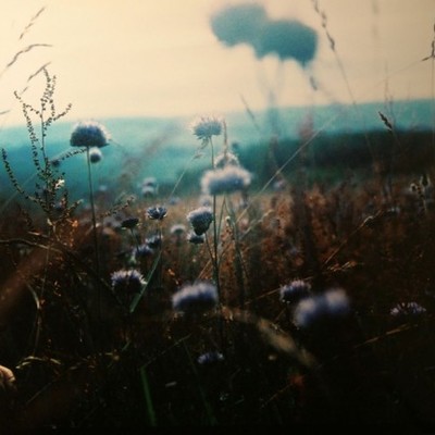 Timeline: Linea del Tiempo Derecho Agrario