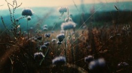 Timeline: Linea del Tiempo Derecho Agrario