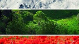 Timeline: Български владетели до 1396 г /3-ти клас/