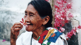 Timeline: Historia de la Geriatría en México