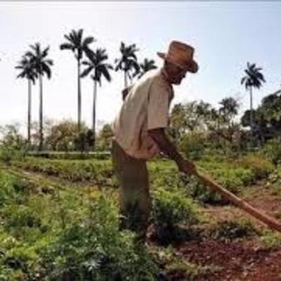 Timeline: HISTORIA DEL DERECHO AGRARIO