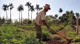 Timeline: HISTORIA DEL DERECHO AGRARIO