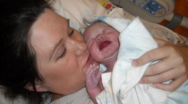 Timeline: Harley's Timeline