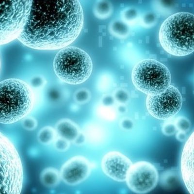 Timeline: The Development of the Cell Theory