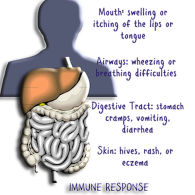 Timeline: Immune System Timeline