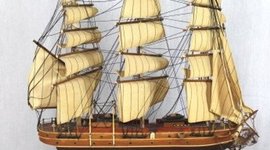 Timeline: Hannah v Nautilus