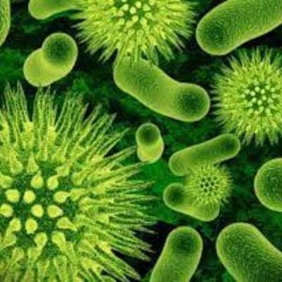 Timeline: HISTORIA DE LA BIOLOGÍA ÉPOCA MOLECULAR