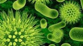 Timeline: HISTORIA DE LA BIOLOGÍA ÉPOCA MOLECULAR