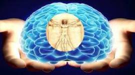 Timeline: orígenes históricos de la psicobiologia