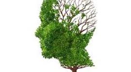 Timeline: Momentos Relevantes desde la Ecología a la Ecología Humana