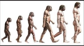 Timeline: historia de gth