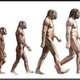 Evolucion