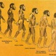 Evolución ser humano