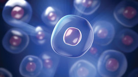 Timeline: Historia de la célula