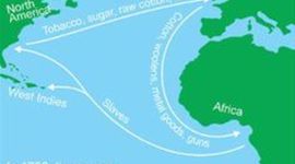 Timeline: Grace's 13 colonies
