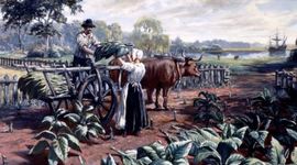 Timeline: Paige Mac-13 collenys